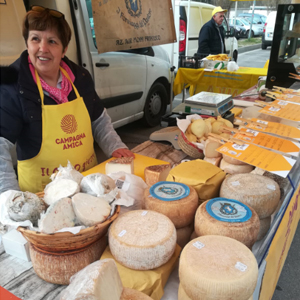 azienda-agricola-monni-francesco
